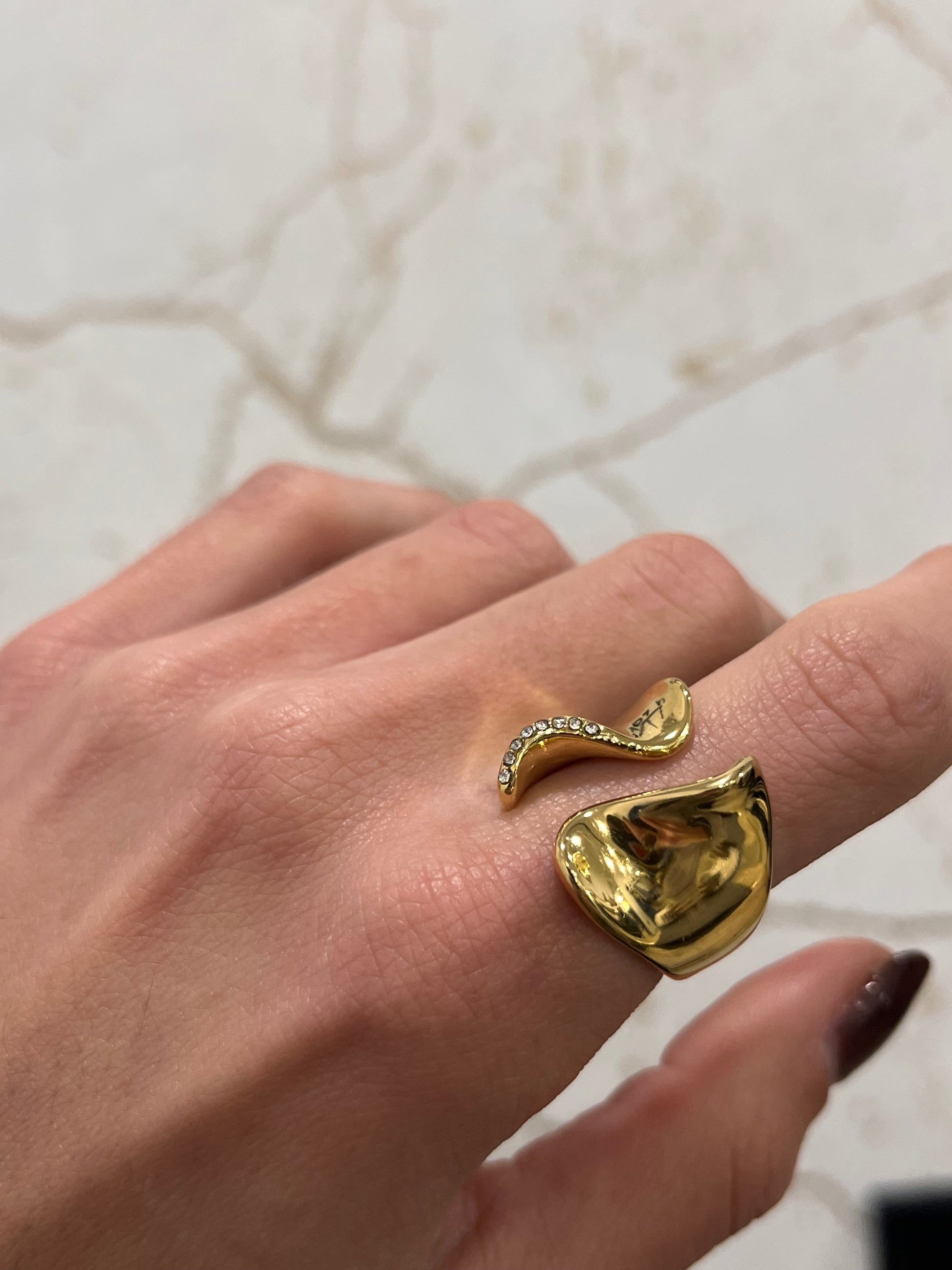 ANILLO