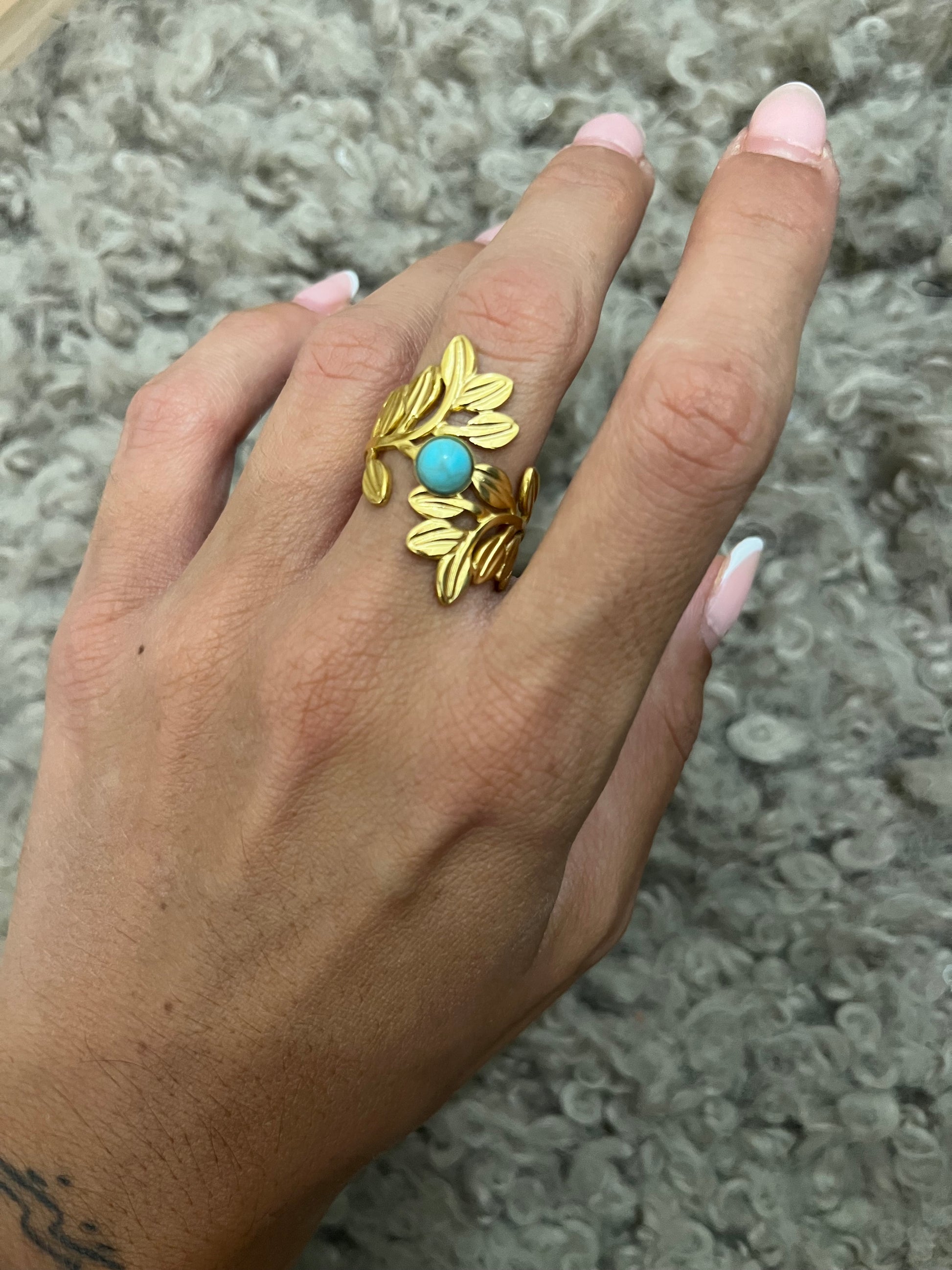 Anillo