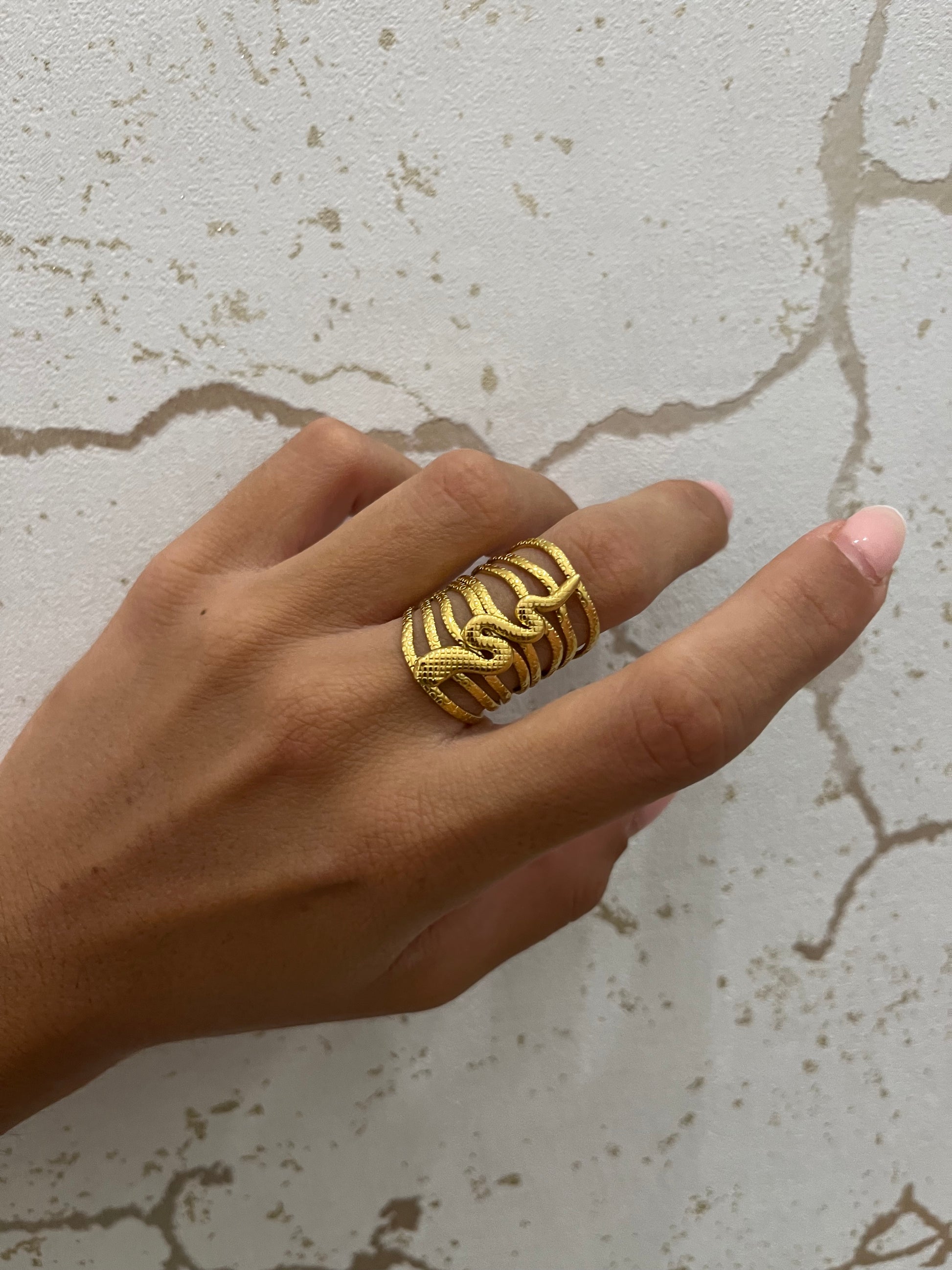 Anillo