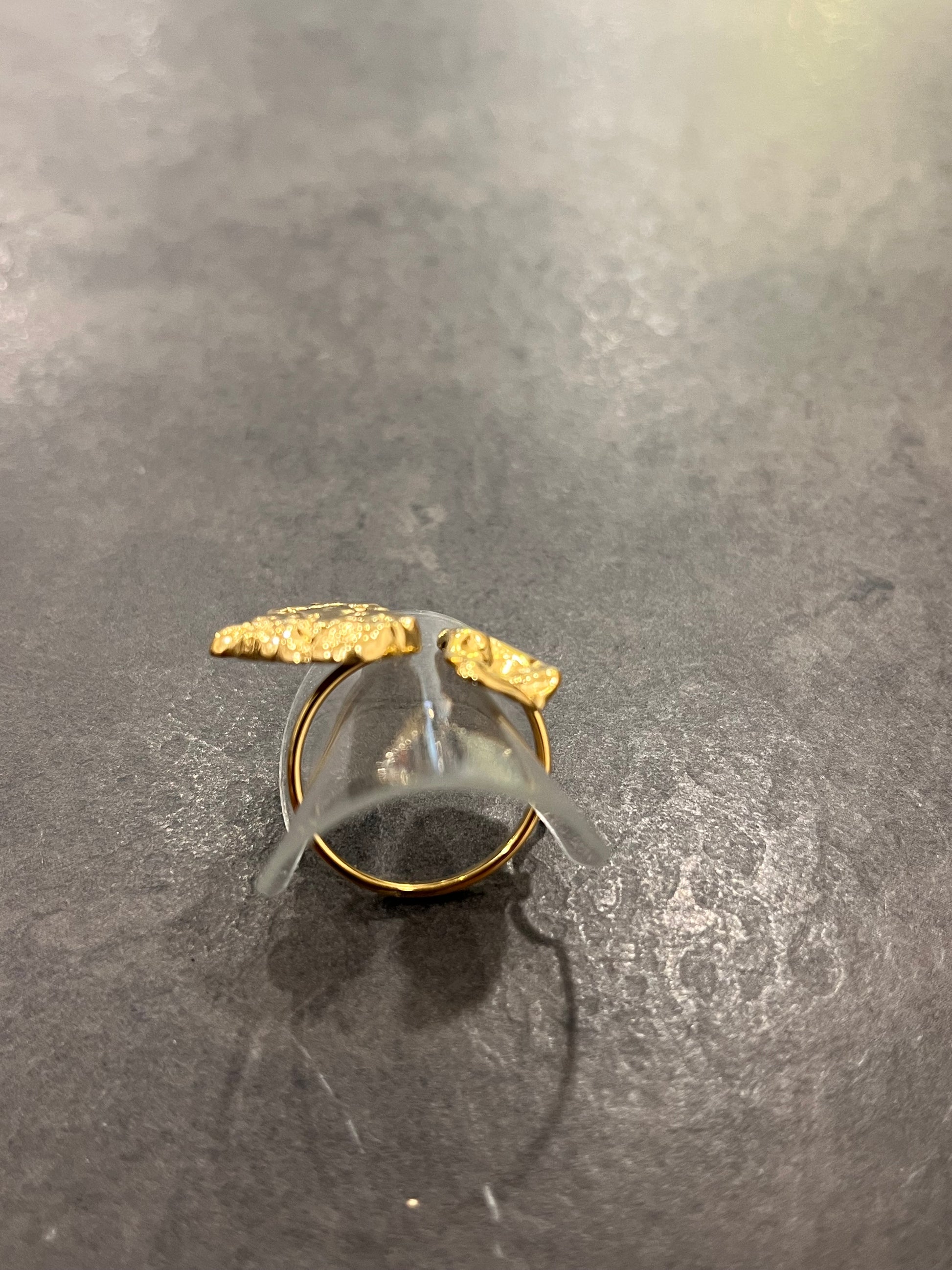 ANILLO